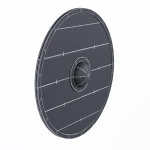 May include: A round, dark gray shield with a central boss and a series of horizontal lines. The shield has a circular design with rivets around the edge and white cross markings.
