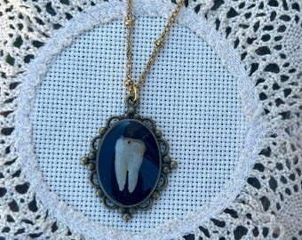 Curio Tooth Pendant Necklace - Dark Academia Jewelry