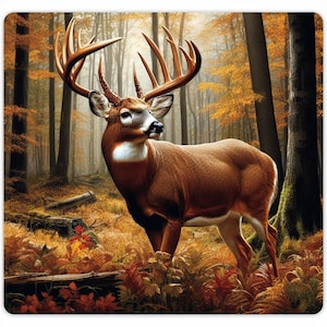 Witte staart Buck waterdichte vinyl sticker, UV-bestendige sticker, auto vrachtwagen venster bumper sticker sticker