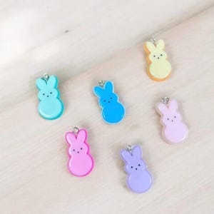 May include: Six pastel-colored bunny charms with silver jump rings. The bunnies are in shades of yellow, blue, light blue, pink, purple, and light pink.