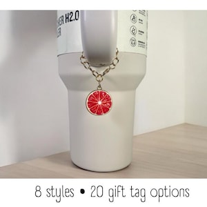 Tumbler Charm - Fruit Slice - Handle Charm - Stanley - HydroJug - Owala - Simple Modern - HydroFlask - BruMate - Yeti - Gift for Women