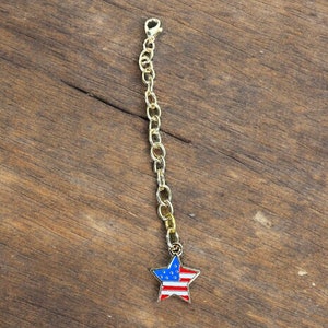 May include: A gold chain with a star-shaped charm featuring the American flag colors of red, white, and blue.