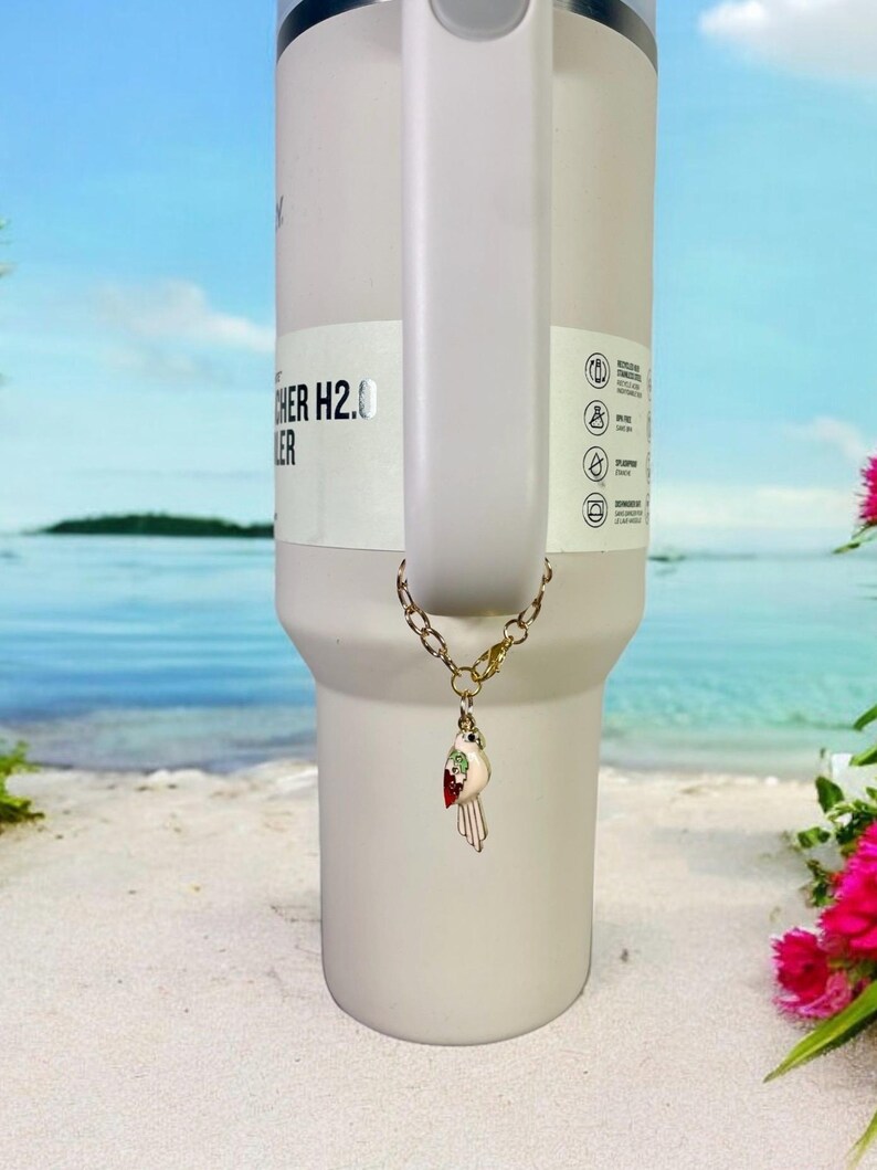 May include: A white stainless steel tumbler with a gold chain and a small bird charm. The tumbler has a black label that says "Cooler H2.0".