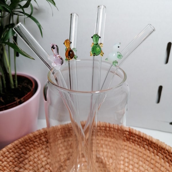 Turtle Glass Straw | Multiple Colours