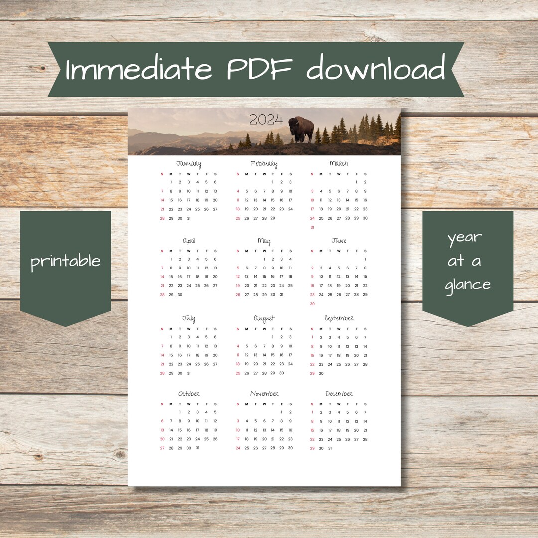 2024 Calendar Bison Buffalo 8.5 X 11 Inches Year at A Glance Etsy