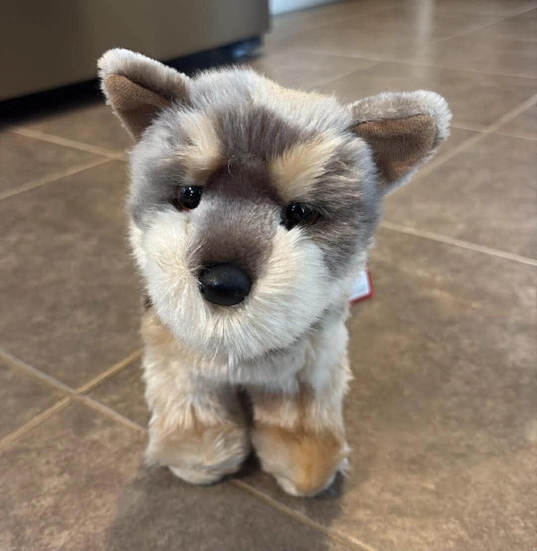 Douglas the Cuddle Toy Puddin' Yorkie Puppy Dog 10