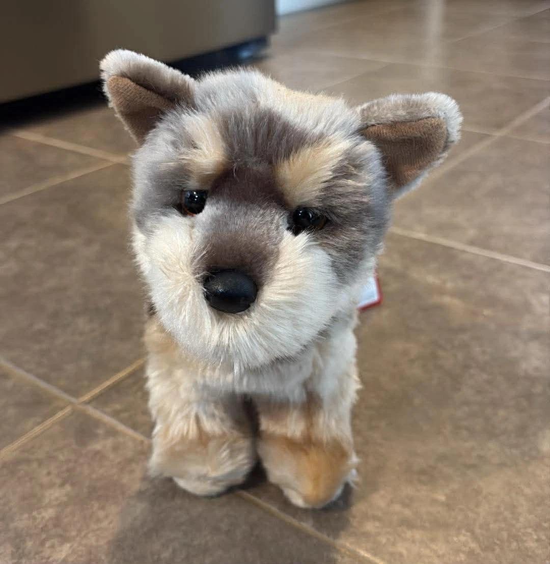 Happy bunny jim benton - Etsy 日本