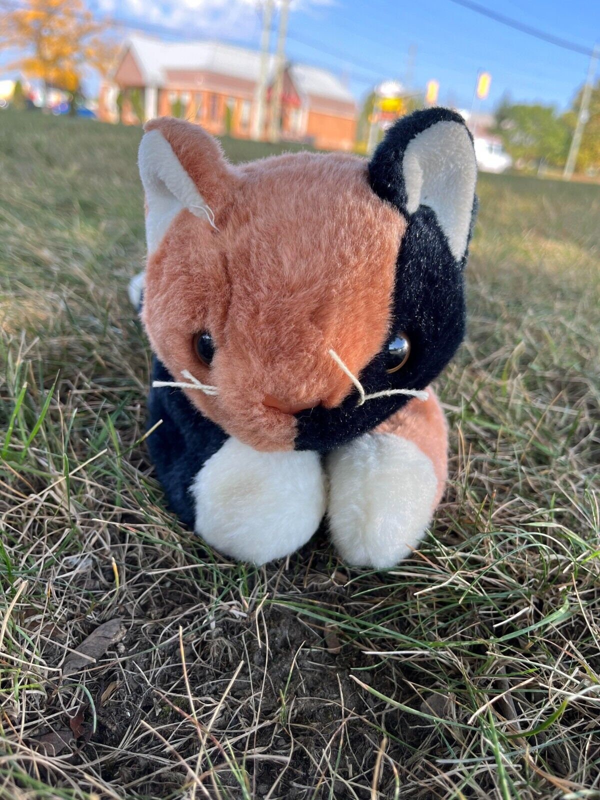 Calico cat stuffed animal ty top