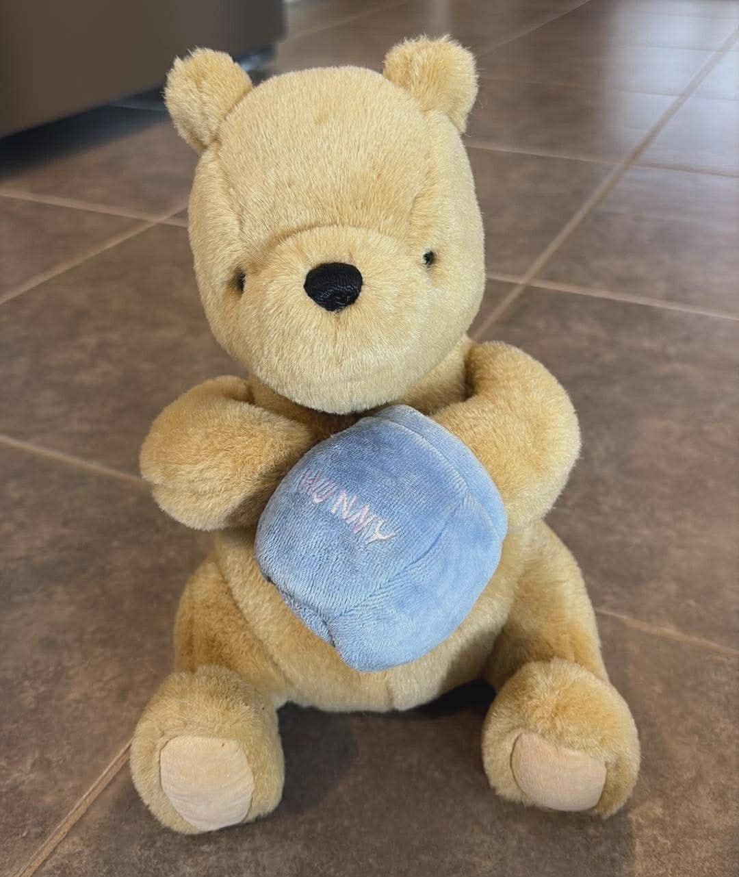 Disney Classic Winnie the Pooh Gund 9