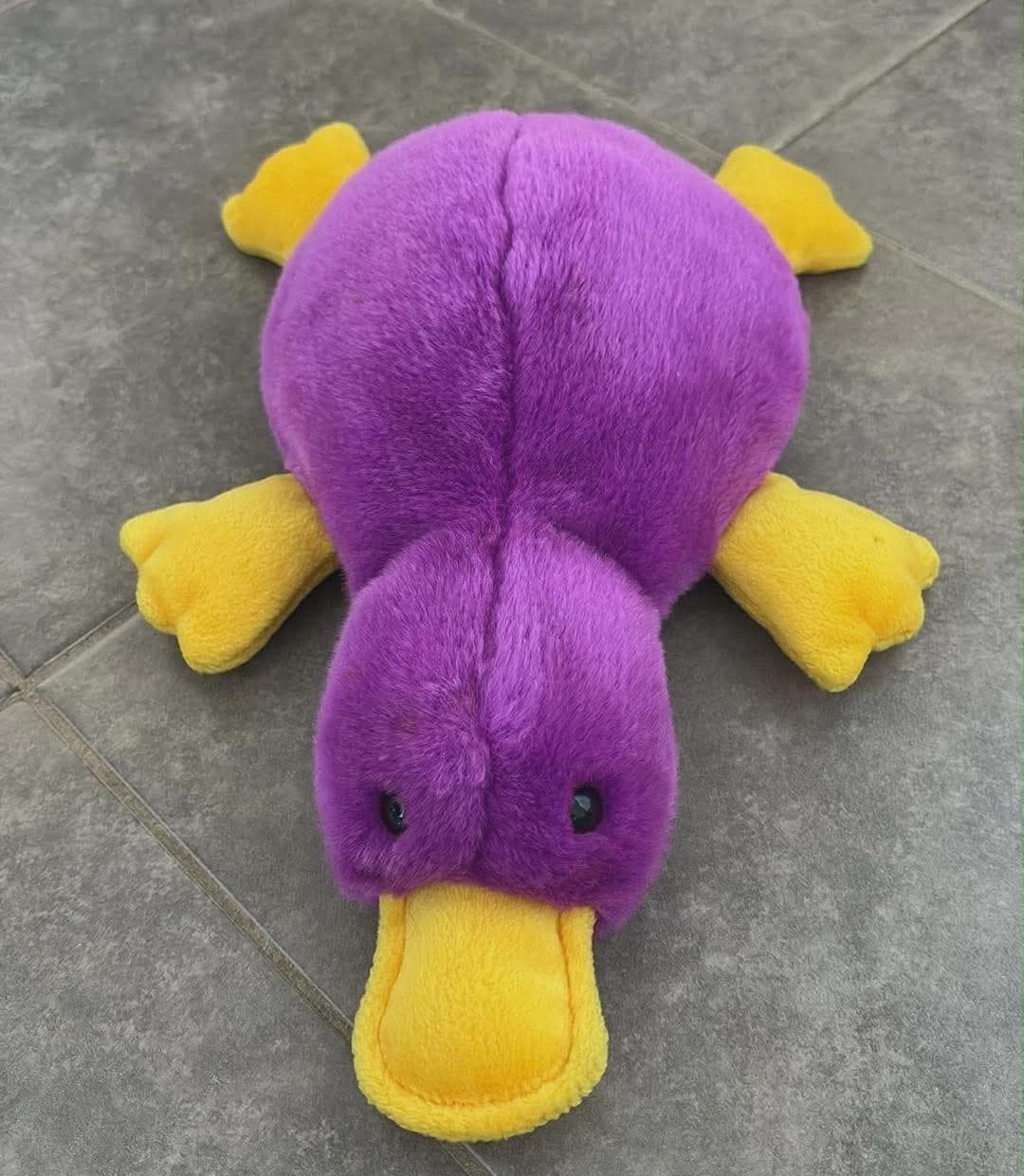 1998年製 Ty Beanie Buddy パティ・ザ・カモノハシ ぬいぐるみ 14