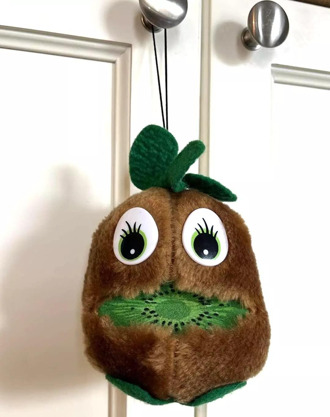 Vintage Parrs New Zealand Hairy Berry Kiwi Fruit 5