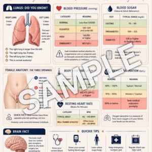 Human Body Anatomy Quick Reference Guide (Digital Download)