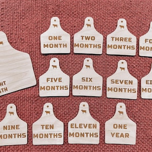 Cow Tag Milestone Markers, Birth Stat Tag, Baby Photo Prop, Hospital Announcement, Birth Announcement, Western Theme, Cowboy Theme