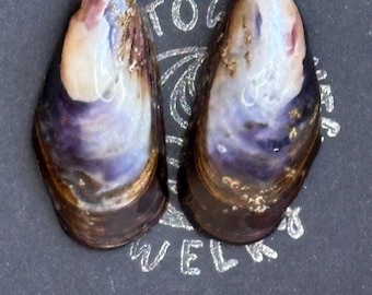 Handmade Seashell Earrings: Ocean Inspired Beach Jewelry
