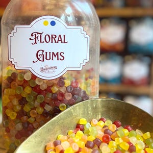 Eichhörnchen Floral Gums Traditionelle Süßigkeiten | Coquet Konditoren Old Fashioned Sweet Shop