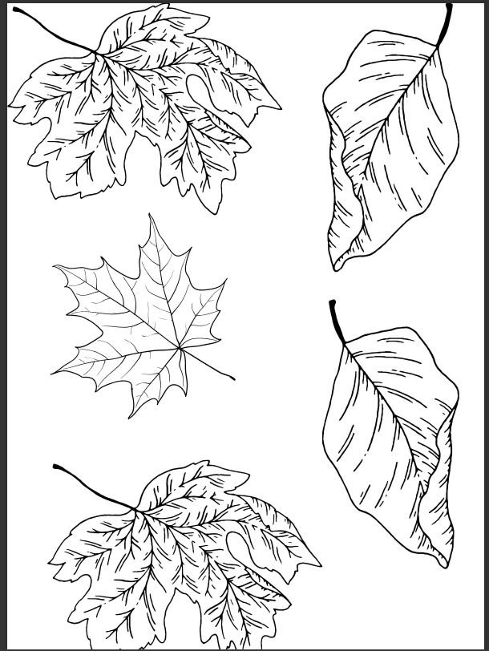 Fall Autumn Coloring Book Pages Digital Download Etsy