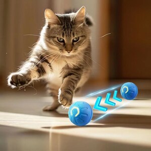 May include: A tabby cat chases a blue and yellow interactive cat toy that moves on its own. The toy has a light on it and is shaped like a ball.