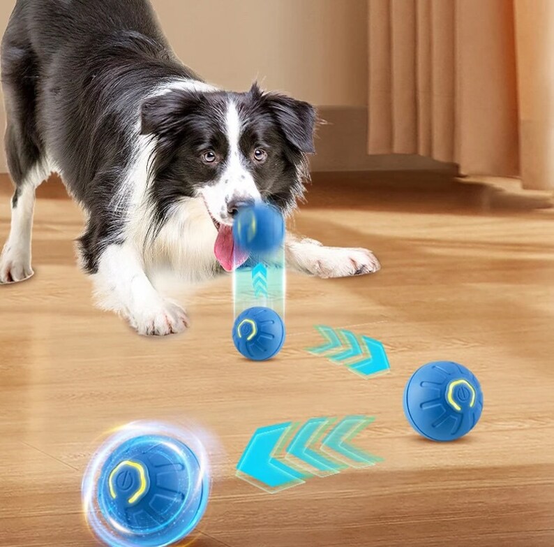 May include: A black and white border collie dog is playing with a blue and yellow interactive dog toy. The toy is a ball that moves on its own and has a light blue trail behind it. The dog is looking at the toy with its tongue out.