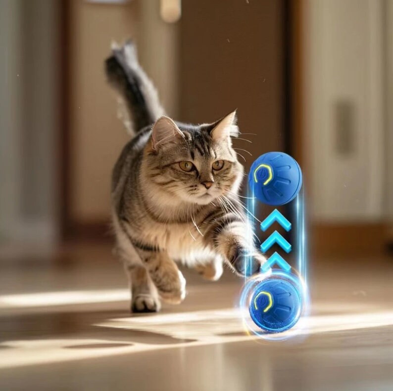 May include: A tabby cat chases a blue and yellow robotic toy ball that moves on its own. The ball has a glowing blue light around it and is moving up and down.