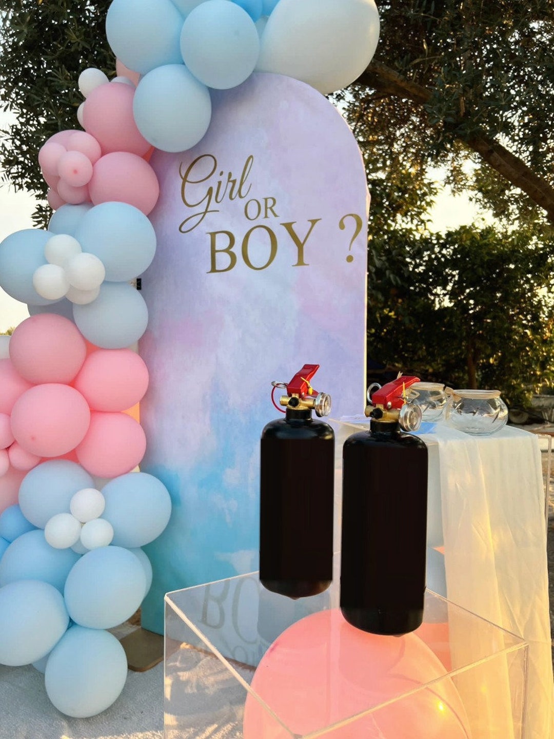 Gender Reveal Fire Extinguisher 1kg Etsy