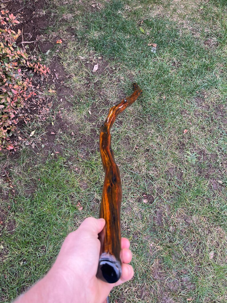 Wizard Staff, Alchemist Staff, Enchanted Forest, Sorcerers Staff