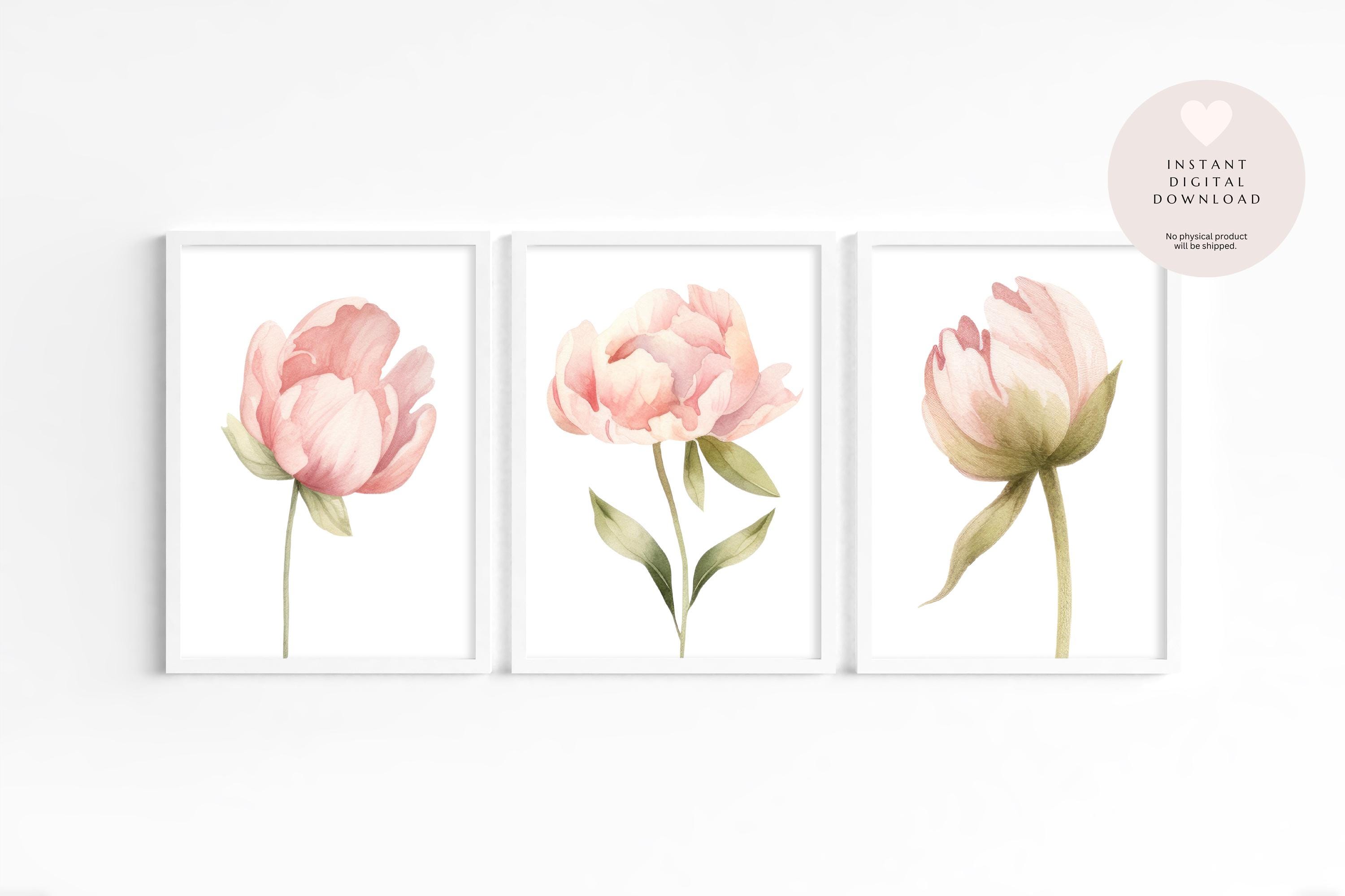 Set of 3 Beautiful Pale Pink Peony Flower Prints | Printable Watercolor ...