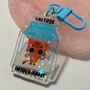 LACTOSE CAT - Cat Keychain (holographic)
