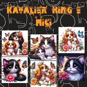 May include: A collage of six images featuring Cavalier King Charles Spaniels and cats. The images depict the animals in various poses, including cuddling, sitting, and standing. The images are set against a white background with flowers and butterflies.