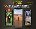 1200+ Eye-Catching Reels Bundle, Instagram Reels - TikTok, YouTube Shorts - Instant Download product logo
