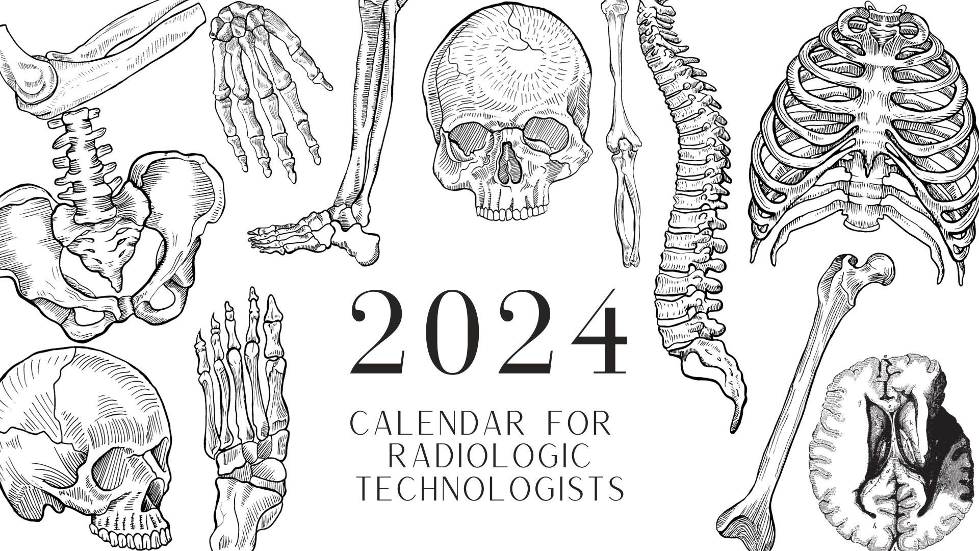 2024 Radiologic Technologist Calendar Etsy