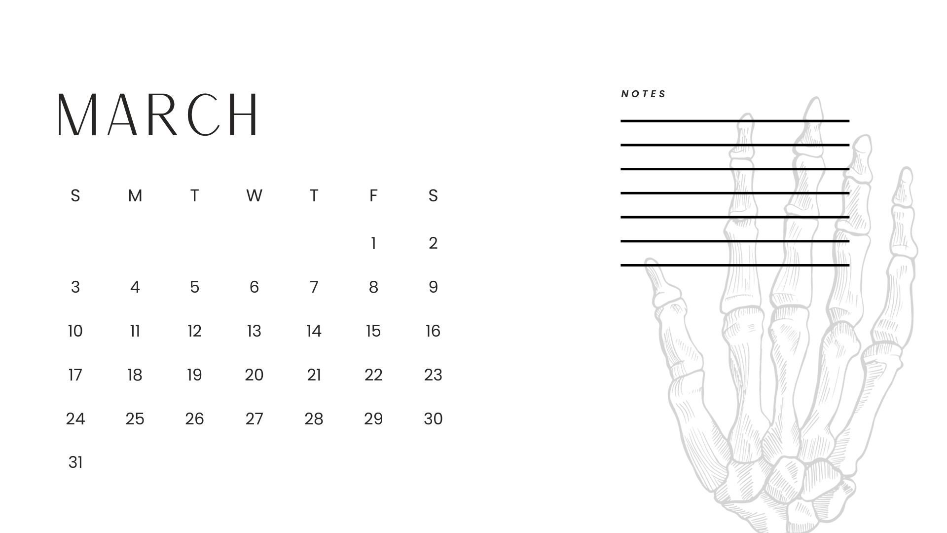 2024 Radiologic Technologist Calendar Etsy