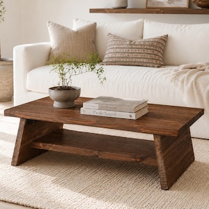 May include: A rectangular dark brown wooden coffee table with a lower shelf, featuring angled side supports. Two books are stacked on the surface, with the top book titled Pacific Natural. A small potted green plant sits next to the books.
