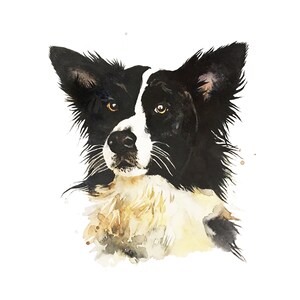 Watercolor dog portrait, Portrait of dog, Custom dog art, Pet loss gift, Pet art, Dog watercolor, Custom pet painting, Dog memorial