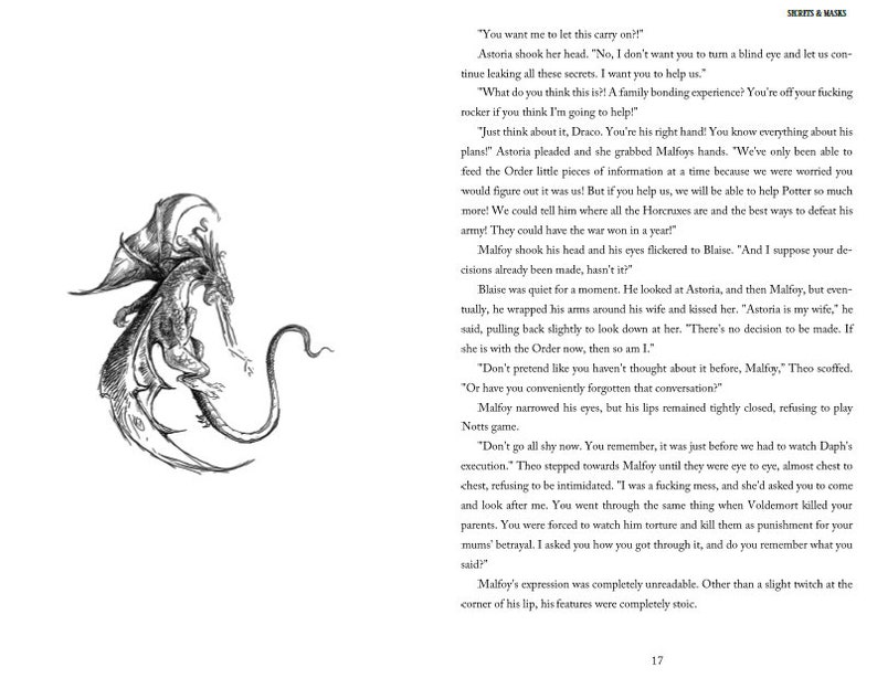 Secrets and Masks. Hardback Edition. Dramione. Fanfic Bound. Etsy