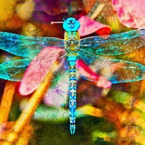 May include: A vibrant blue dragonfly with iridescent wings is perched on a colorful, abstract background. The dragonfly's body is detailed with black and green markings, and its wings are translucent with hints of pink and yellow.