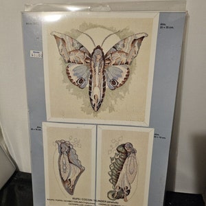 Maria van Scharrenburg Cross Stitch Kit Rups/ Cocon/ Vlinder Butterfly M009