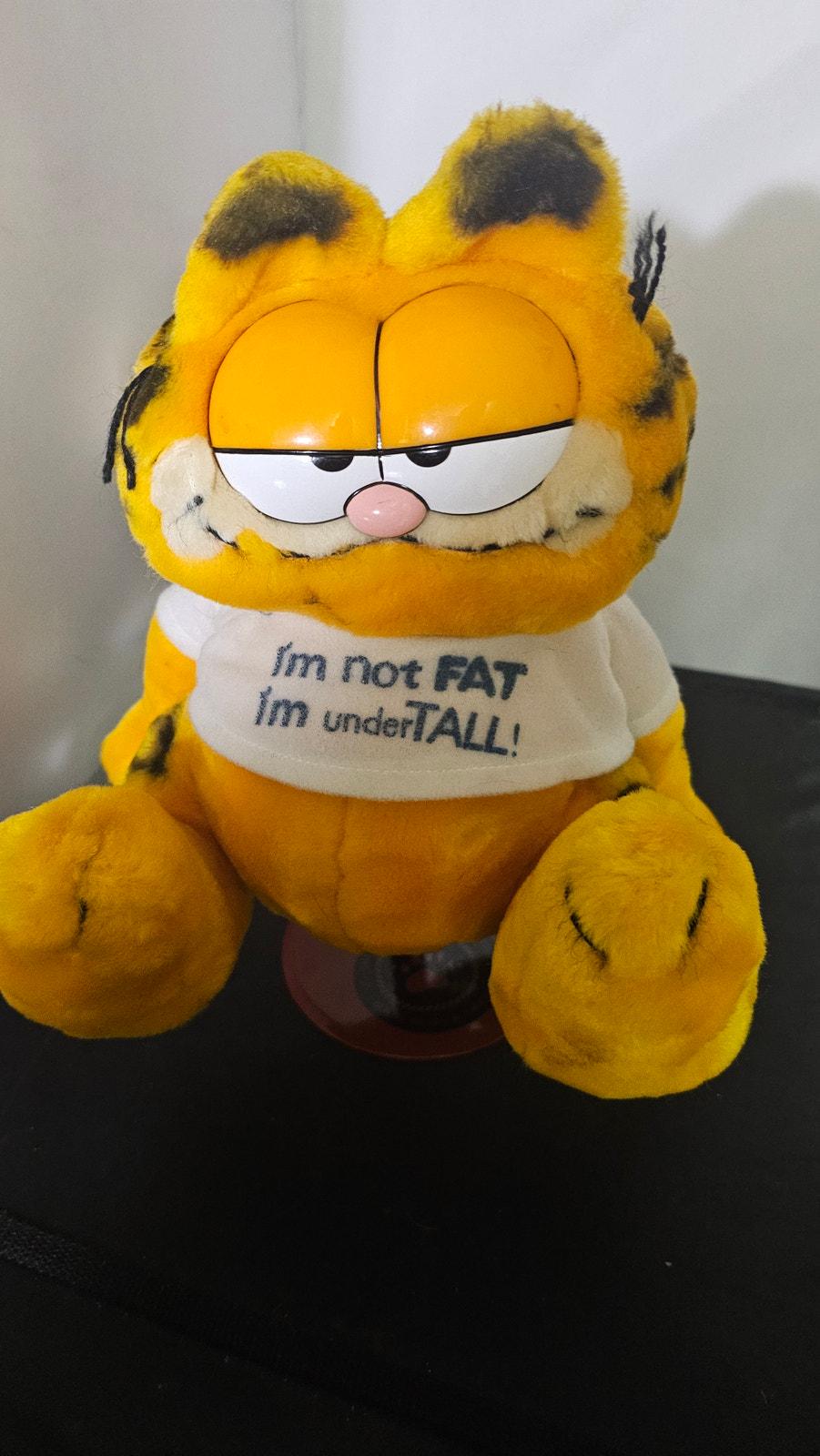 当時物 タグ付 DAKIN GARFIELD ぬいぐるみ I'M NOT FAT 当時物 タグ付 DAKIN GARFIELD ぬいぐるみ I'M NOT FAT - メルカリ