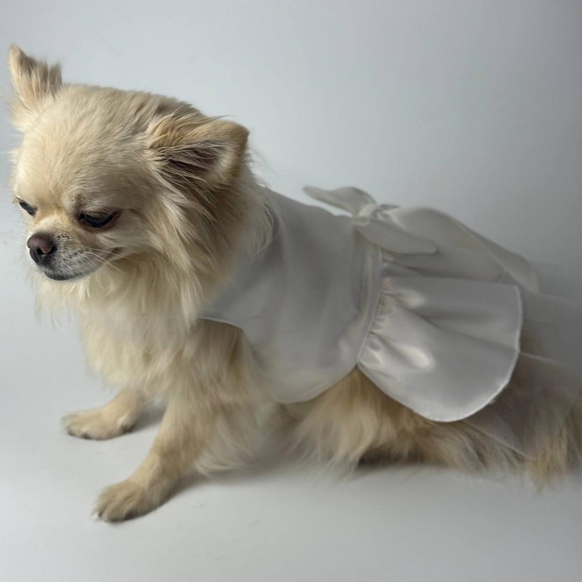 Elegant For All The Dogs Leak Images