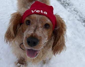 Dog Beanie Hat | Personalized Pet Winter Hat with Name