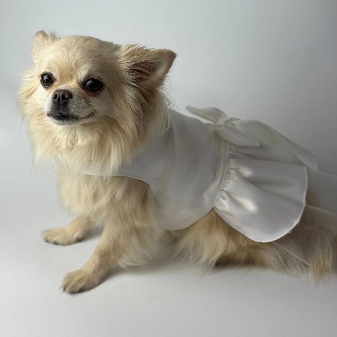 Elegant For All The Dogs Leak Images