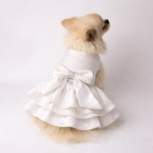 dresses for golden retrievers Dress Dog Outdoor/Backyard
