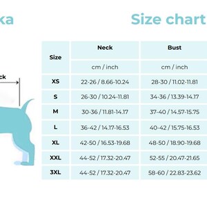 Op de afbeelding: Maattabel voor honden kleding, met afmetingen in centimeters en inches. De tabel toont nek-, borst- en rugmaten voor maten XS tot 3XL. Een lichtblauw silhouet van een hond illustreert de meetpunten.