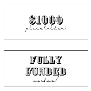 Cash Stuffing Placeholders for 50, 100, 250, 500, 1000, and Fully Funded!