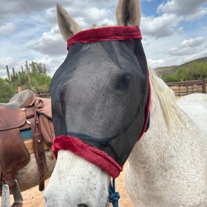 Fly mask, Horse fly mask