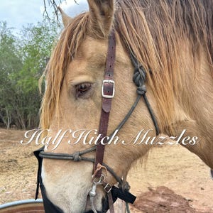 May include: A palomino horse wearing a black mesh grazing muzzle secured with a brown leather headstall and grey rope halter. The text Half Hitch Muzzles is overlaid in white script across the center of the horse's face and muzzle area.