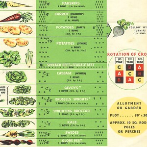 May include: A green and white chart with illustrations of vegetables and instructions for planting and rotating crops. The chart includes the names of vegetables such as parsnips, carrots, potatoes, spinach beet, cabbage, savoy, Brussels sprouts, sprouting broccoli, kale, swedes, and globe beet. The chart also includes information about the number of rows, spacing, and rotation of crops.