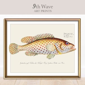 Impressão de peixe antigo | Impressão de peixe vintage | Arte para impressão de parede de galeria