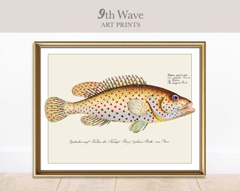 Antique Fish Printable | Vintage Fish Print | Gallery Wall Printable art