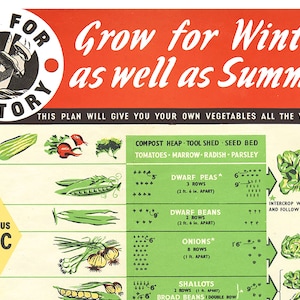 May include: A vintage illustrated guide to growing vegetables for both winter and summer. The guide features a red, white, and black circle with the text "Dig for Victory" and a list of vegetables with planting instructions. The vegetables include tomatoes, marrow, radishes, parsley, peas, beans, onions, shallots, and lettuce.