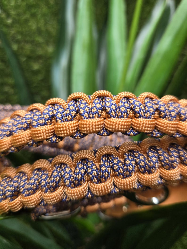 Paracord and Biothane Dog Collar – Durable, Handmade Outdoor Collar ...
